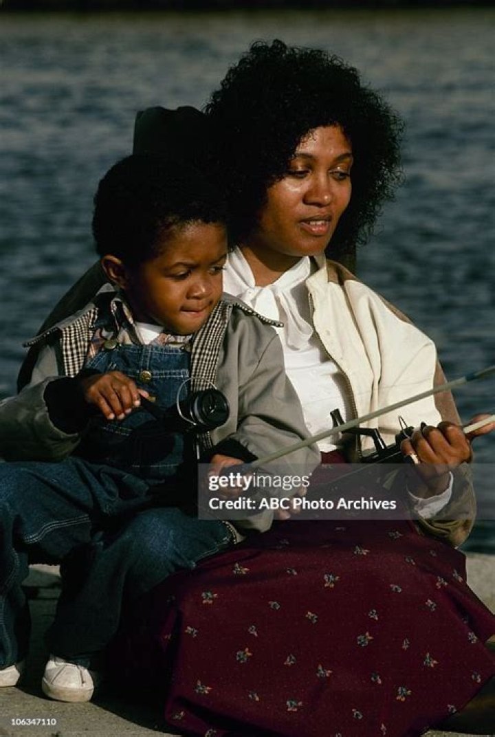 The Legendary Actor Of "Webster": Emmanuel Lewis