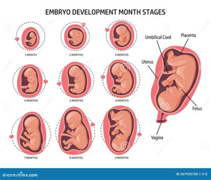 Uncovering The Expulsion Of Her Fetus And Its Implications